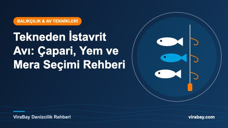Tekneden istavrit avı için çapari ve olta takımı - ViraBay rehber kapak görseli