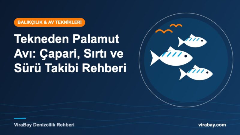 Tekneden palamut avı rehberi için ViraBay kapak görseli