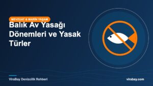 Balık av yasağı dönemleri ve yasak türler rehberi kapak görseli