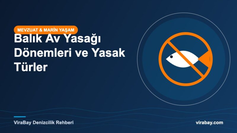 Balık av yasağı dönemleri ve yasak türler rehberi kapak görseli