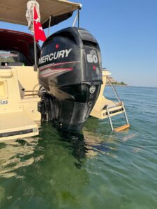 SAFTER POLY 5.70 | 2020 MERCURY EFI 60 HP | DOLU DONANIM | RUHSATLI | LİMAN KAYITLI | DENİZE HAZIR